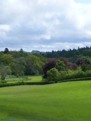 Chedworth Roman Villa