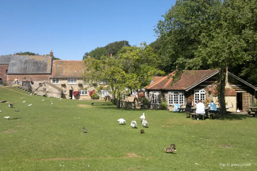 Calbourne Water Mill & Rural Museum