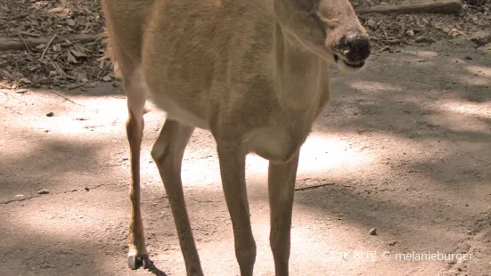 Yellow River Wildlife Sanctuary