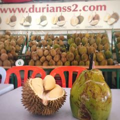 Donald's Durian User Photo