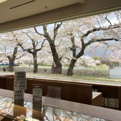 Liuhuating (wulengguo) User Photo