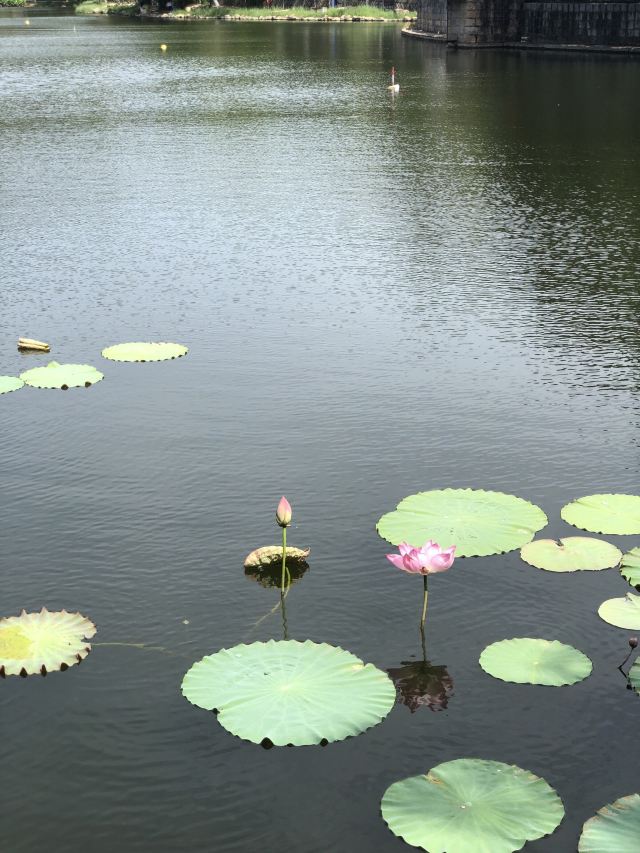 정인곡