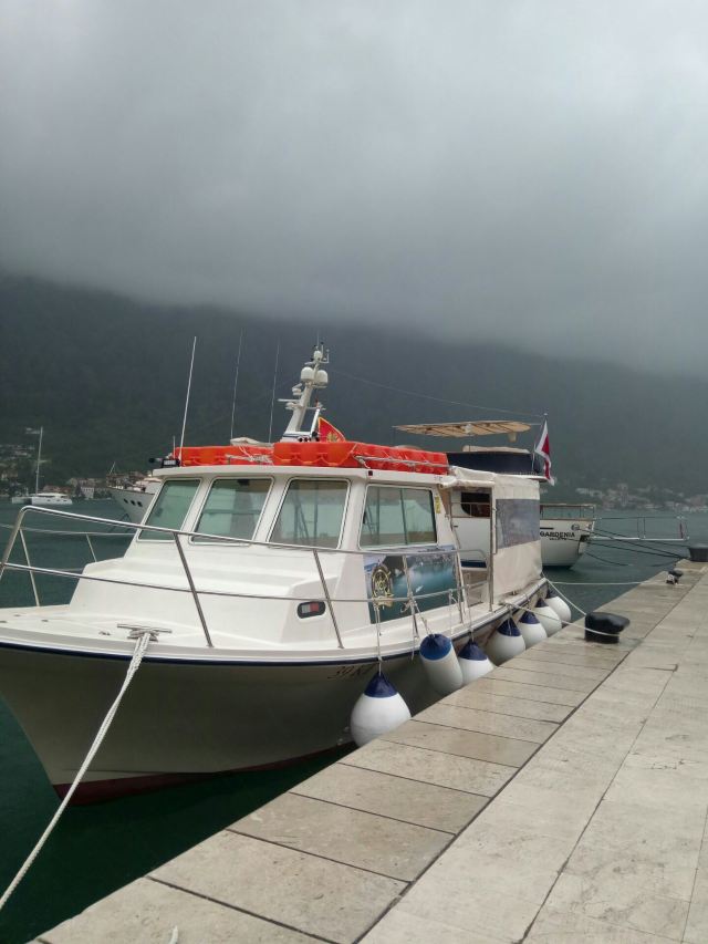 Kotor