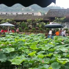 鲜龙井火锅公园(南山店) User Photo