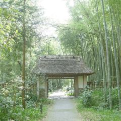 Toraya Kobo User Photo