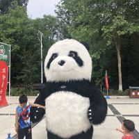 評論圖片 4