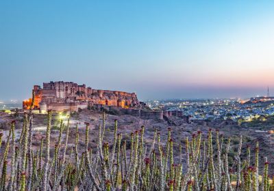 Jodhpur