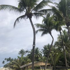 Beach View Restaurant 여행 사진