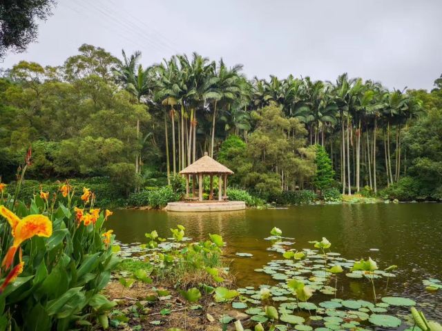 Xiamen University