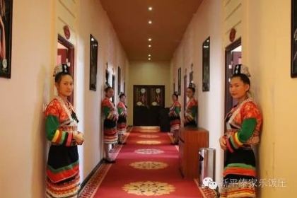 DAI GU LE FAN ZHUANG MA GU QING ZONG DIAN