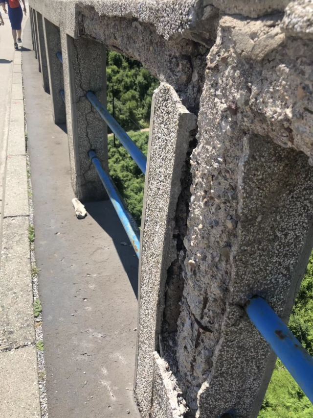 塔拉河大橋