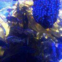 評論圖片 2