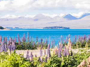 Top 10 Spring Outings in Canterbury