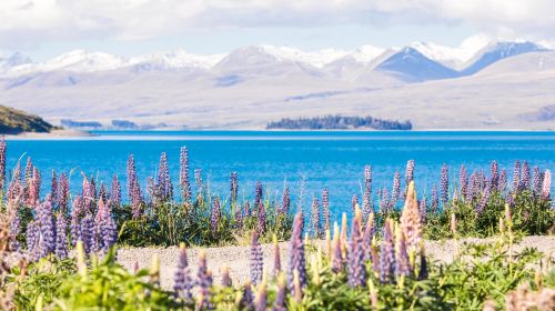 Lake Tekapo