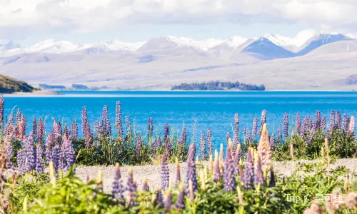 Lake Tekapo