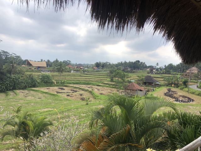 Campuhan Ridge Walk