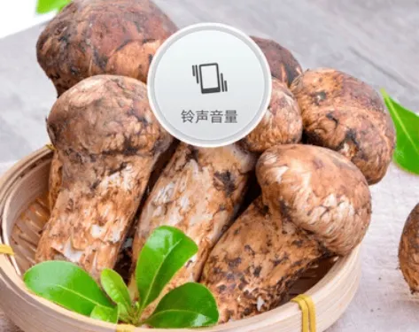 正宗川菜