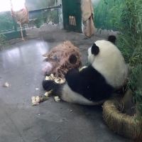 評論圖片 4