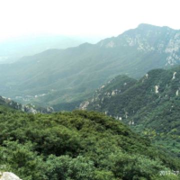 評論圖片 7