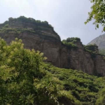 評論圖片 3