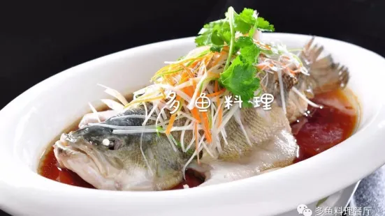 多魚(龙门店)