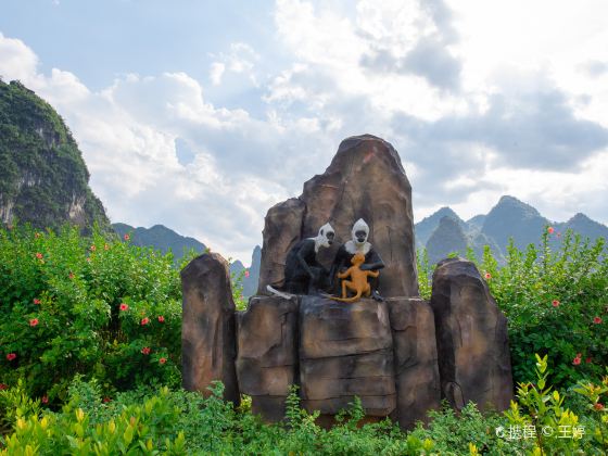 白頭葉猴生態旅遊區
