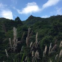 評論圖片 4