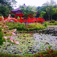 評論圖片 5