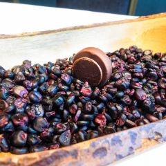 Edition Koji Shimomura User Photo