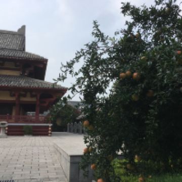 評論圖片 5