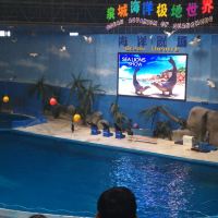 評論圖片 1
