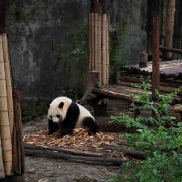 評論圖片 4