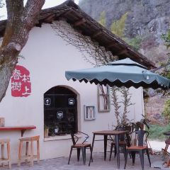 Little House Coffee 여행 사진