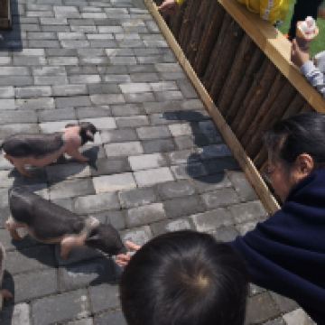 評論圖片 8