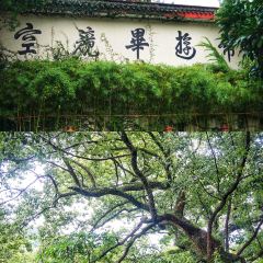 PU TUO SHAN LEI DI SEN ZHUANG YUAN User Photo