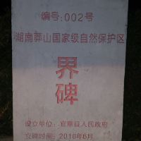 評論圖片 4