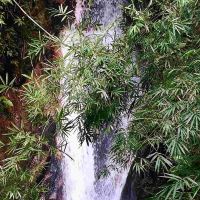評論圖片 1
