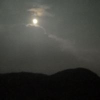評論圖片 5