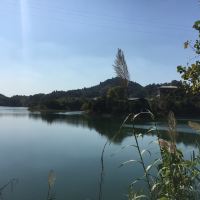 評論圖片 1