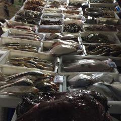 海边渔家 User Photo