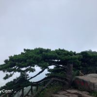 評論圖片 2