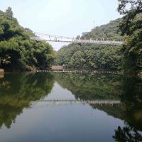 評論圖片 6