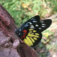評論圖片 9
