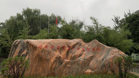 Hebei Children Activity Center （West）