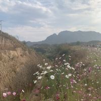 評論圖片 5