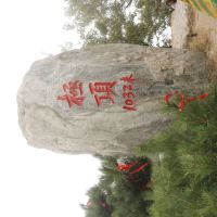 評論圖片 5