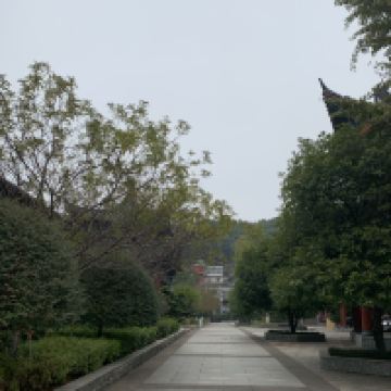 評論圖片 6