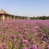 評論圖片 3