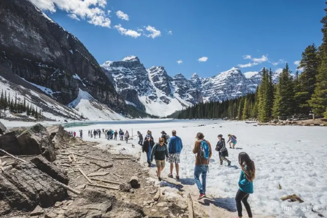20 Dollar View: A Visit to The Beautiful Lake Moraine in Banff