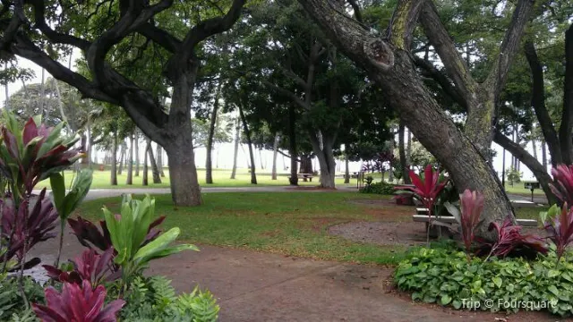 A Guide to Waikiki Beach Honolulu